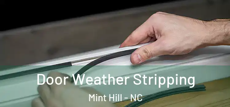 Door Weather Stripping Mint Hill - NC