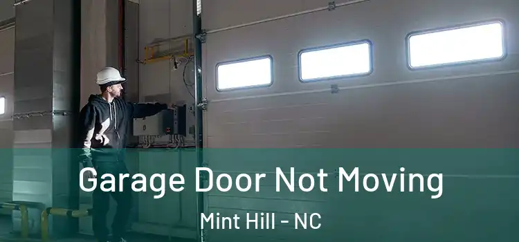  Garage Door Not Moving Mint Hill - NC