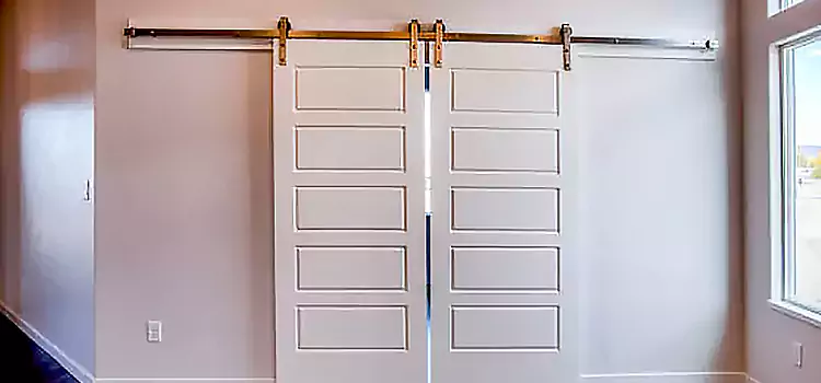 Glass Barn Door with Installation Hardware Kit Mint Hill