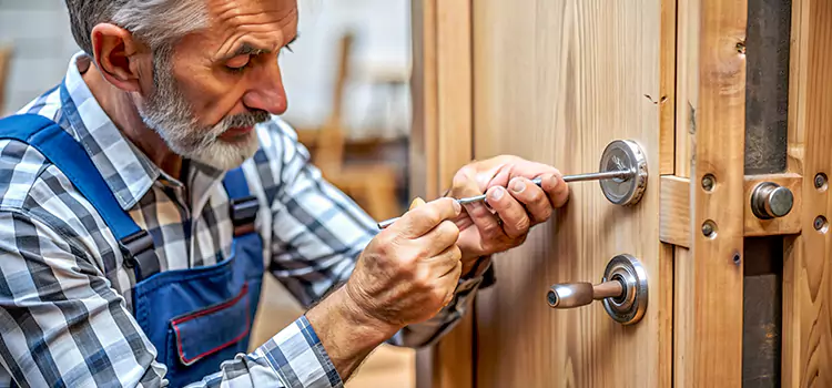 Mortise Replacement Lock Mint Hill