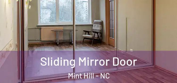  Sliding Mirror Door Mint Hill - NC